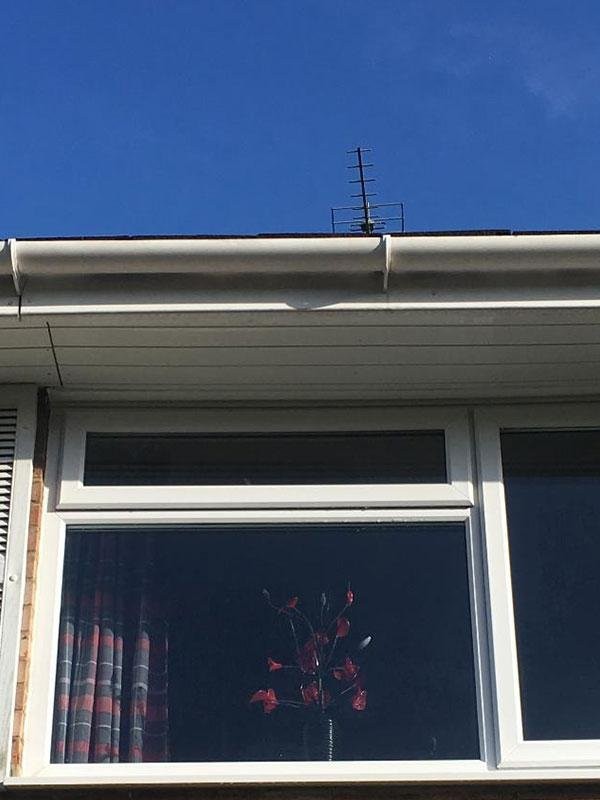 Wise Roofing completed roofing project in Reading